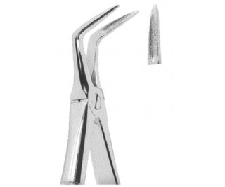 Extracting Forceps English pattern